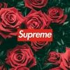 supreme_god2618